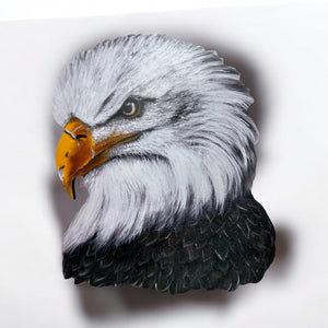 Eagle cut out